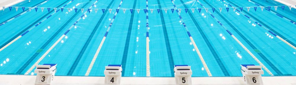 Swimmerbook Blog